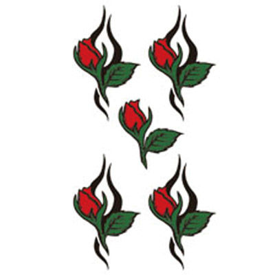 �^�g�D�[�V�[���@�K�N�g���C�o���R�i�^�g�D�[�E�h�V�[���j