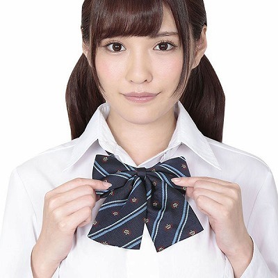 �������X�N�[�����{���@��̓u���[�X�g���C�v�i�R�X�v���ߑ��j