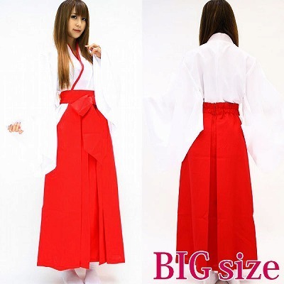 �g�L���L�ޏ�����p���_�C�X�@�a�h�f�i�R�X�v���ߑ��j