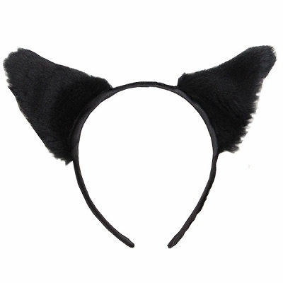 �t���t���L���J�`���[�V���P�i�i�����j�i�R�X�v���ߑ��j