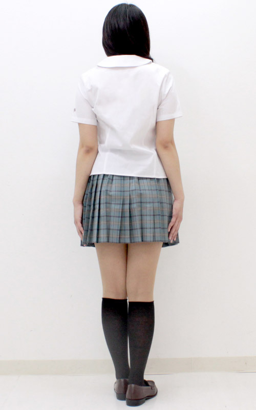 �����w�������w�Z�i�ĕ��j�@�a�h�f