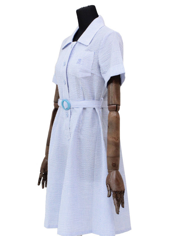 ���q�w�@�����@���ĕ������s�[�X�@�a�h�f