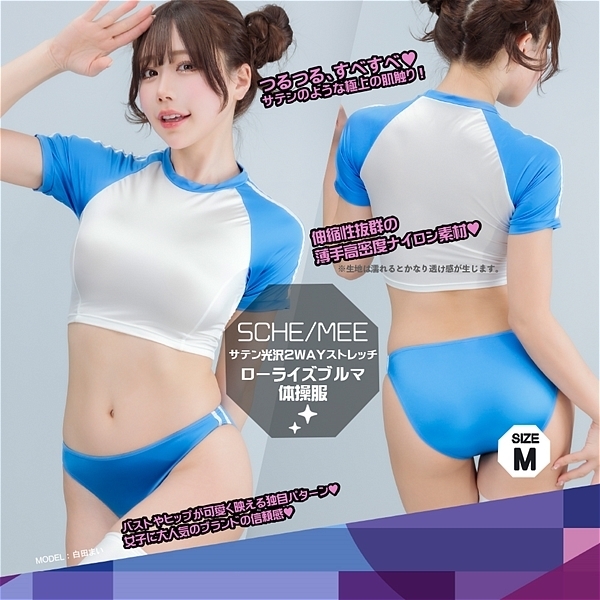 �e���������r���������V���[�g��̑����@�i�u���[�@�l�j